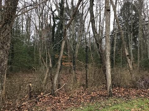 119 Patterson Avenue Wise Va 24293, Wise, VA 24293 photo 8