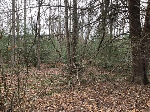 119 Patterson Avenue Wise Va 24293, Wise, VA 24293 photo 6