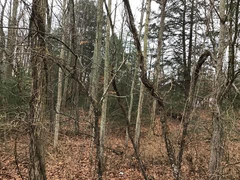119 Patterson Avenue Wise Va 24293, Wise, VA 24293 photo 11