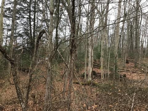 119 Patterson Avenue Wise Va 24293, Wise, VA 24293 photo 10