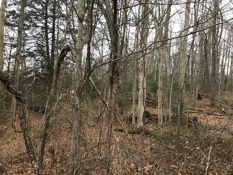 119 Patterson Avenue Wise Va 24293, Wise, VA 24293 photo 9