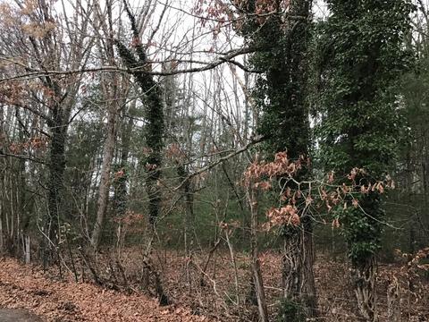 119 Patterson Avenue Wise Va 24293, Wise, VA 24293 photo 2