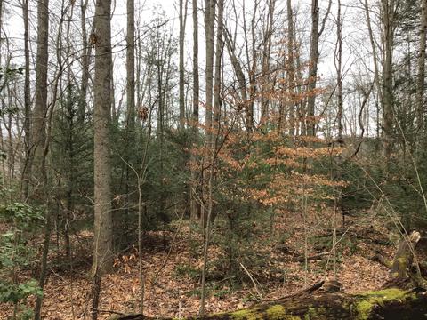 119 Patterson Avenue Wise Va 24293, Wise, VA 24293 photo 5
