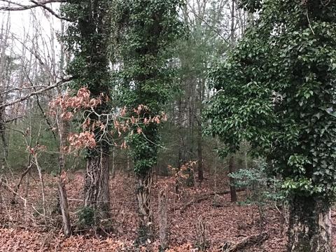 119 Patterson Avenue Wise Va 24293, Wise, VA 24293