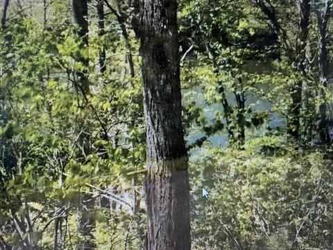 9 Draft Road Butler Tn 37640, Butler, TN 37640 photo 16