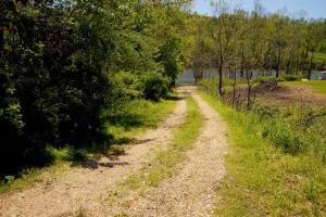 9 Draft Road Butler Tn 37640, Butler, TN 37640 photo 23