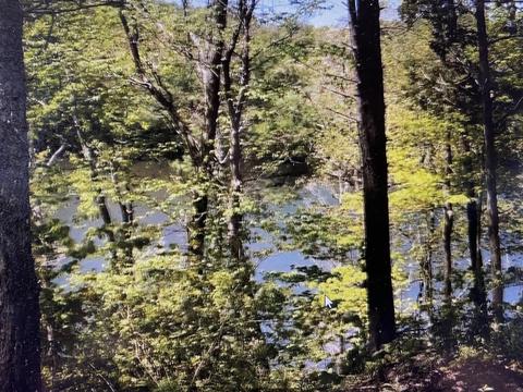 9 Draft Road Butler Tn 37640, Butler, TN 37640 photo 13