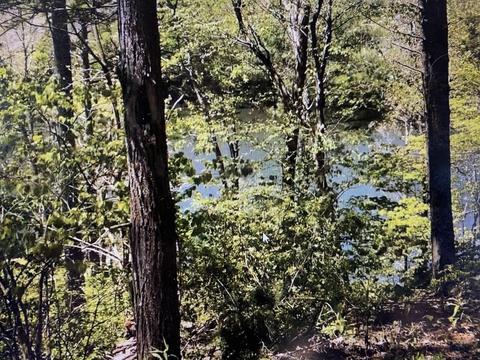 9 Draft Road Butler Tn 37640, Butler, TN 37640 photo 14