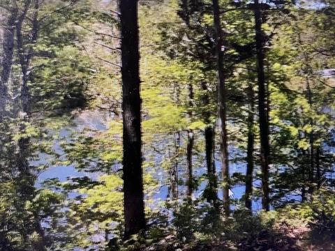 9 Draft Road Butler Tn 37640, Butler, TN 37640 photo 12