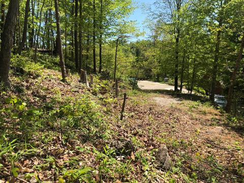 9 Draft Road Butler Tn 37640, Butler, TN 37640 photo 34