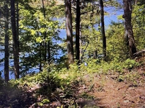 9 Draft Road Butler Tn 37640, Butler, TN 37640 photo 18