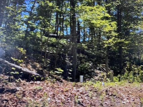 9 Draft Road Butler Tn 37640, Butler, TN 37640 photo 10