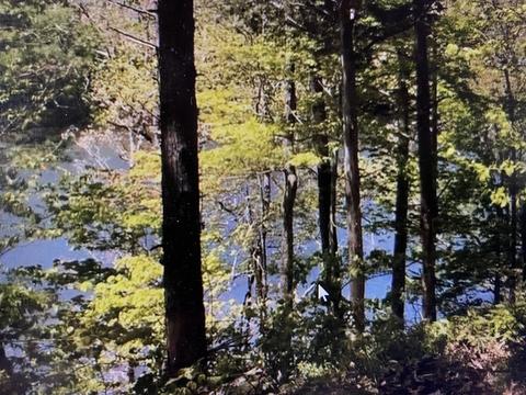9 Draft Road Butler Tn 37640, Butler, TN 37640 photo 17