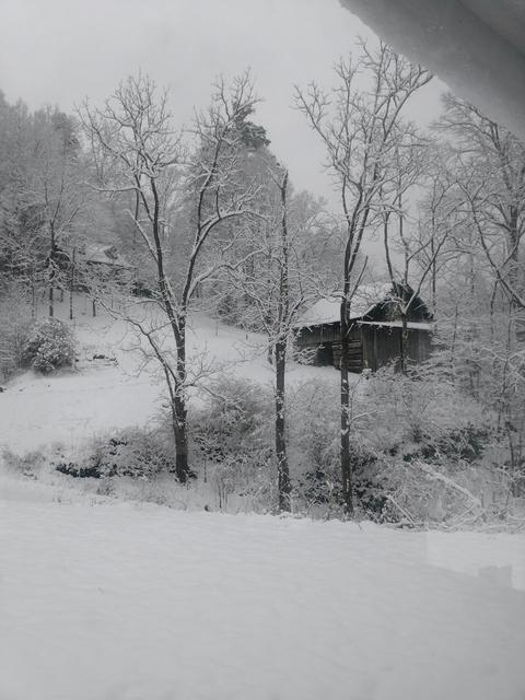 160 Mccanless Rd, Erwin, TN 37650 photo 1