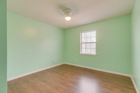 250 Springview Drive Gray Tn 37615, Gray, TN 37615 photo 19