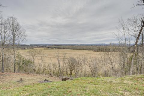 705 Mohawk Creek Road Midway Tn 37809, Midway, TN 37809 photo 31
