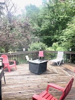 10206 Coeburn Mountain Road Wise Va 24293, Wise, VA 24293 photo 55