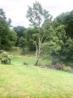 10206 Coeburn Mountain Road Wise Va 24293, Wise, VA 24293 photo 59