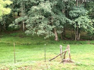 10206 Coeburn Mountain Road Wise Va 24293, Wise, VA 24293 photo 60