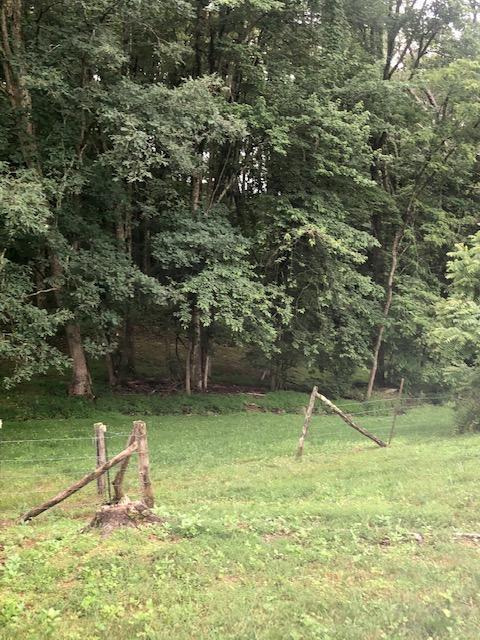 10206 Coeburn Mountain Road Wise Va 24293, Wise, VA 24293 photo 61