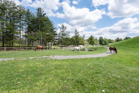 6219 NE Hurricane Road Wise Va 24293, Wise, VA 24293 photo 18