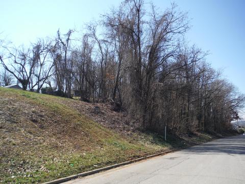 0 Locust Street Greeneville Tn 37745, Greeneville, TN 37745