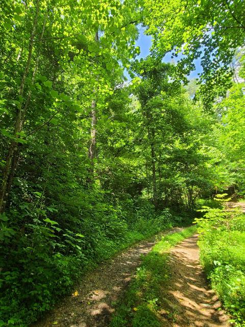116 Misty Blue Lane Erwin Tn 37650, Erwin, TN 37650 photo 6