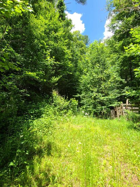 116 Misty Blue Lane Erwin Tn 37650, Erwin, TN 37650 photo 8