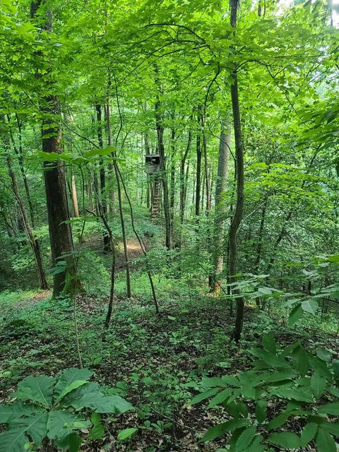 116 Misty Blue Lane Erwin Tn 37650, Erwin, TN 37650 photo 2