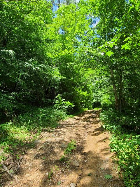 116 Misty Blue Lane Erwin Tn 37650, Erwin, TN 37650 photo 4