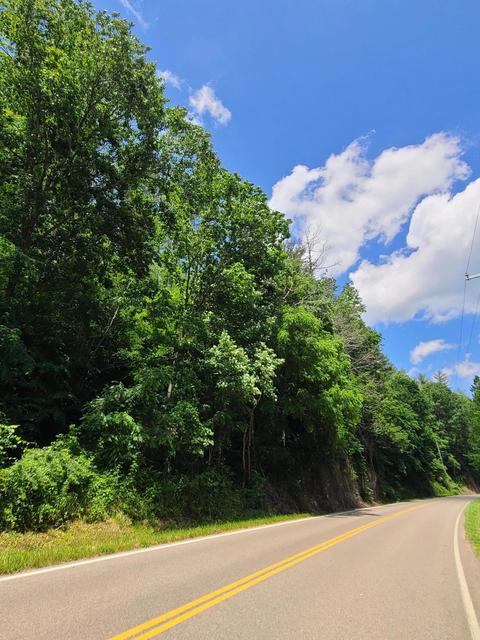 116 Misty Blue Lane Erwin Tn 37650, Erwin, TN 37650 photo 22