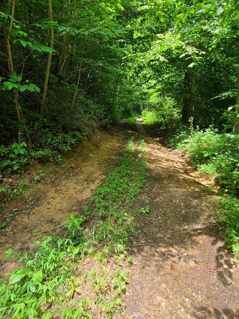 116 Misty Blue Lane Erwin Tn 37650, Erwin, TN 37650 photo 5