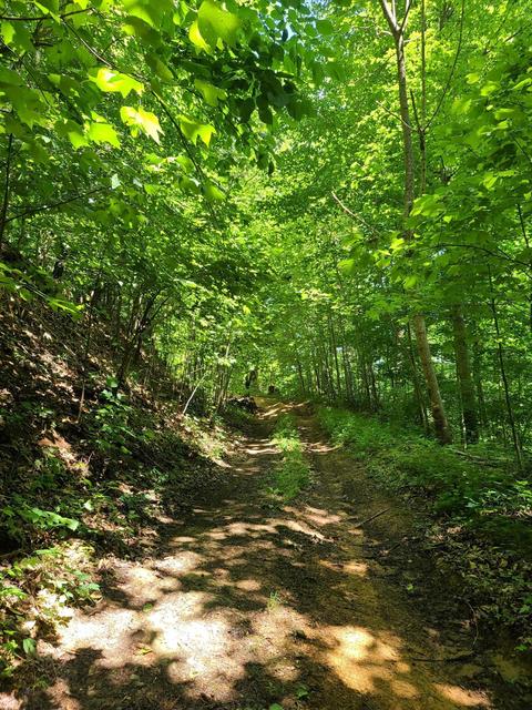 116 Misty Blue Lane Erwin Tn 37650, Erwin, TN 37650 photo 20