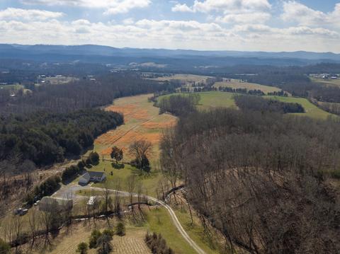 1070 Fodderstack Mtn Loop Greeneville Tn 37745, Greeneville, TN 37745 photo 46