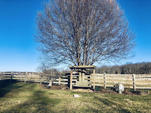 330 Painter Road Fall Branch Tn 37656, Fall Branch, TN 37656 photo 3