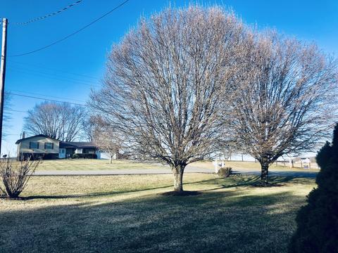 330 Painter Road Fall Branch Tn 37656, Fall Branch, TN 37656 photo 36