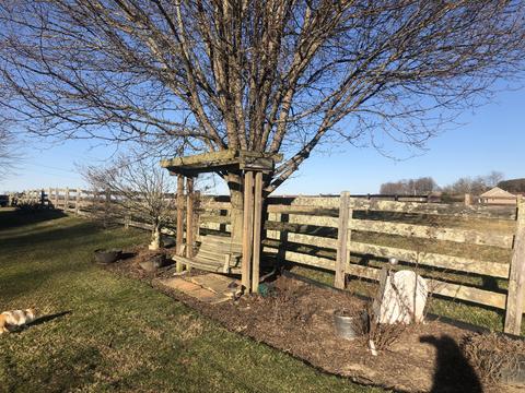 330 Painter Road Fall Branch Tn 37656, Fall Branch, TN 37656 photo 35