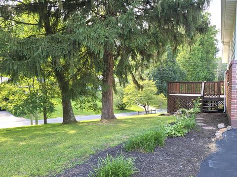 637 Galax Drive Erwin Tn 37650, Erwin, TN 37650 photo 5