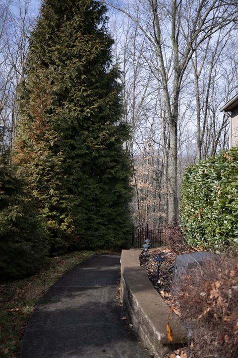 1142 Cliffview Circle Gray Tn 37615, Gray, TN 37615 photo 5