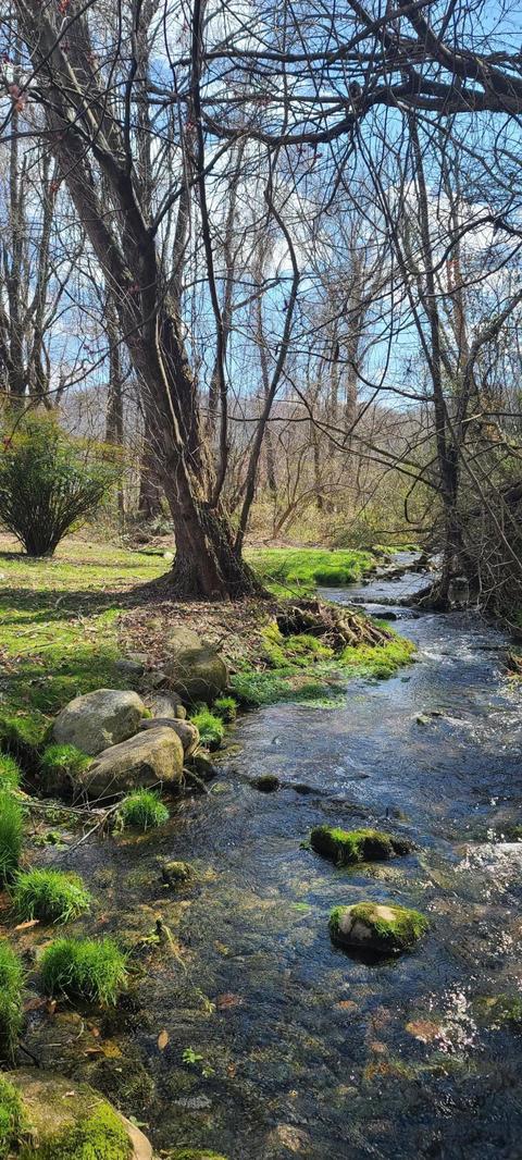 106 Meadowbrook Drive Erwin Tn 37650, Erwin, TN 37650 photo 15
