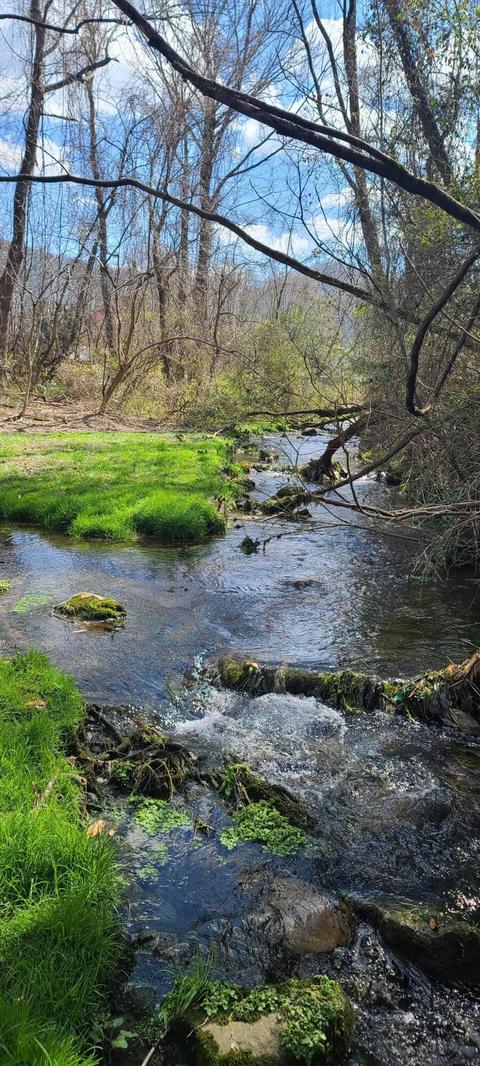 106 Meadowbrook Drive Erwin Tn 37650, Erwin, TN 37650 photo 14
