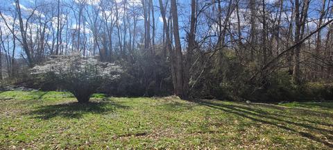 106 Meadowbrook Drive Erwin Tn 37650, Erwin, TN 37650 photo 13