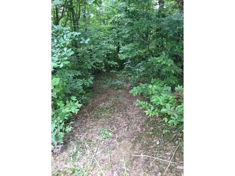 4437 Bear Ridge Dante Va 24237, Dante, VA 24237 photo 5