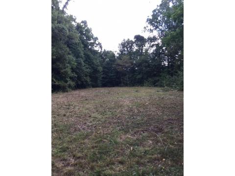 4437 Bear Ridge Dante Va 24237, Dante, VA 24237 photo 3