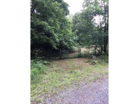 4437 Bear Ridge Dante Va 24237, Dante, VA 24237 photo 4