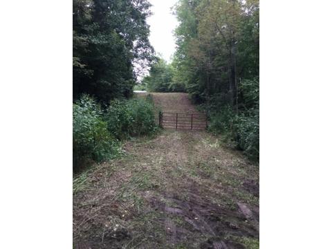 4437 Bear Ridge Dante Va 24237, Dante, VA 24237 photo 2
