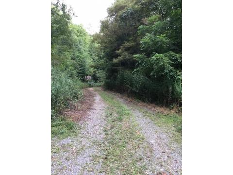 4437 Bear Ridge Dante Va 24237, Dante, VA 24237 photo 6