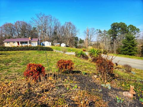 415 Lori Circle Chuckey Tn 37641, Chuckey, TN 37641 photo 49