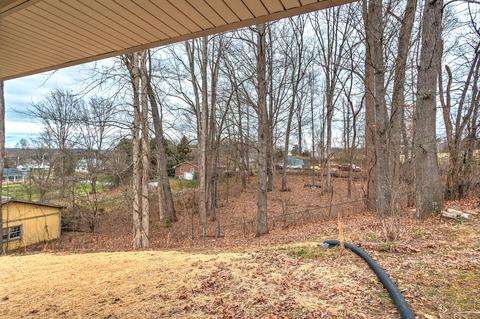380 Lovelace Mountain View Loop Fall Branch Tn 37656, Fall Branch, TN 37656 photo 38