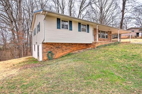 380 Lovelace Mountain View Loop Fall Branch Tn 37656, Fall Branch, TN 37656 photo 6